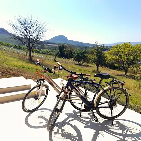 Baloveon Birtok Holiday home